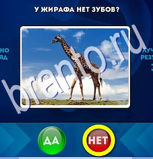 Да или Нет игра подсказки Уровень 2634
