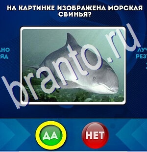 игра Да или Нет ответ на Уровень 2640