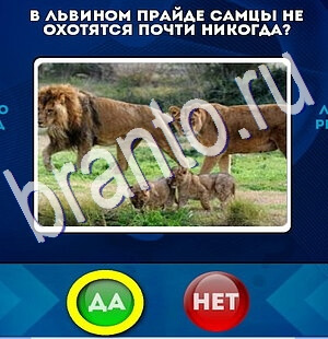 Да или Нет подсказки в контакте Уровень 2649