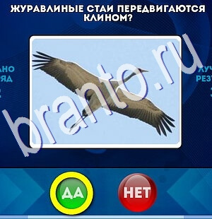 игра Да или Нет ответ на Уровень 2660