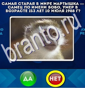 Да или Нет ответы в картинках Уровень 2666