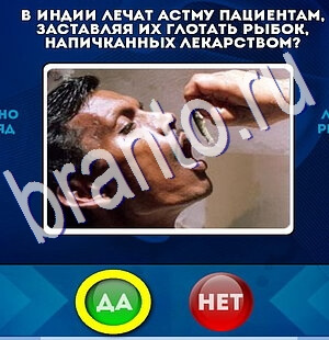 игра Да или Нет ответ на Уровень 2670