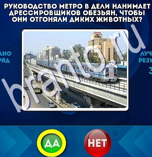 Одноклассники Да или Нет ответы Уровень 2678