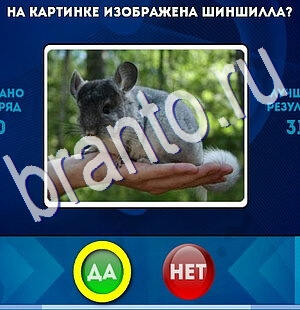 решебник на игру Да или Нет Уровень 2681