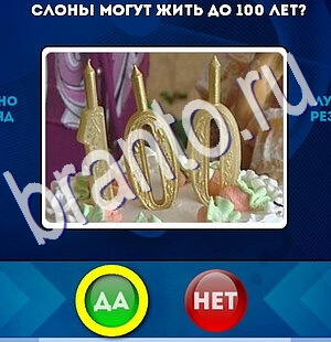 Да или Нет игра подсказки Уровень 2684