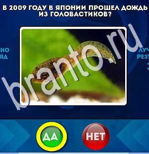 Да или Нет игра подсказки Уровень 2694