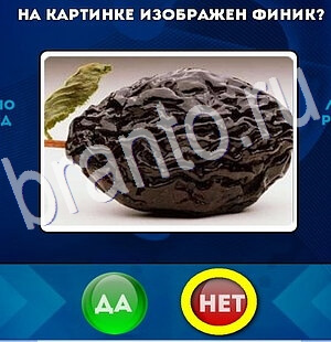 Решения на игру Да или Нет Уровень 2733