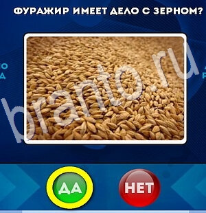 ответы к игре Да или Нет Уровень 2735
