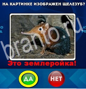 игра Да или Нет ответ на Уровень 2740
