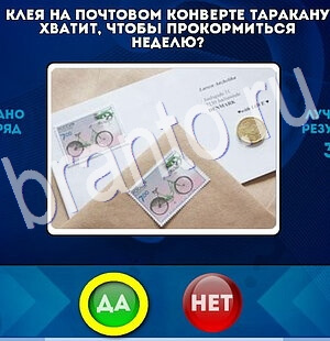 решебник на игру Да или Нет Уровень 2741