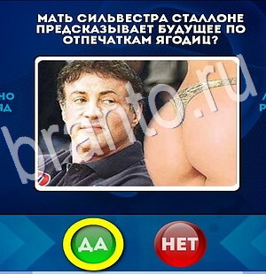 Да или Нет решения Уровень 2742