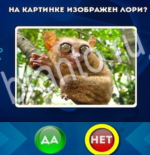 Да или Нет игра помощь Уровень 2745