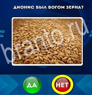 Игра Да или Нет подсказки Уровень 2748