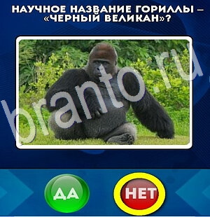 Игра Да или Нет подсказки Уровень 2758