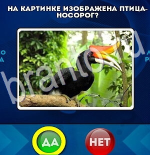 ответы на игру в одноклассниках Да или Нет Уровень 2766