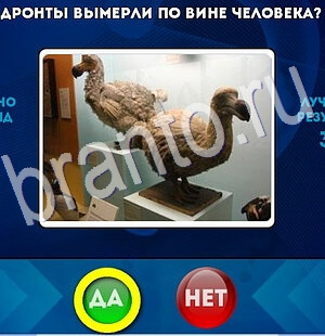 игра Да или Нет ответ на Уровень 2770