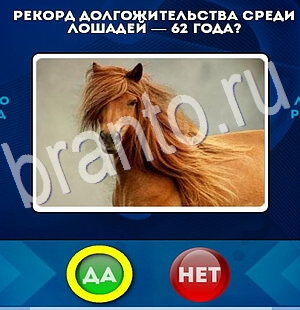 Да или Нет игра ответы Уровень 2783
