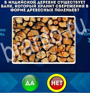 Игра Да или Нет ответы Уровень 2787