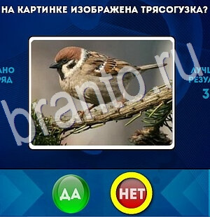 ответы на игру Да или Нет в одноклассниках Уровень 2821