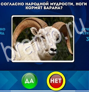 Одноклассники Да или Нет ответы Уровень 2828