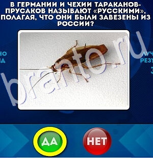 Игра Да или Нет ответы Уровень 2837
