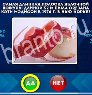 игра Да или Нет помощь Уровень 2839