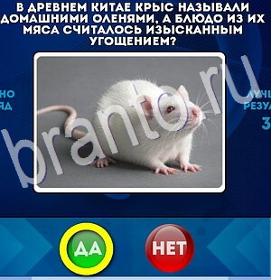 Да или Нет ответы в картинках Уровень 2846