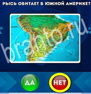 игра Да или Нет помощь Уровень 2849