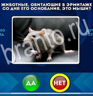 Да или Нет игра ответы в одноклассниках Уровень 2977