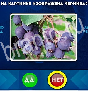 решебник на игру Да или Нет Уровень 2981