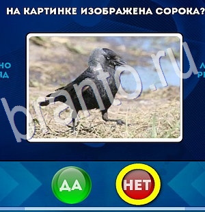 Да или Нет игра подсказки Уровень 2984