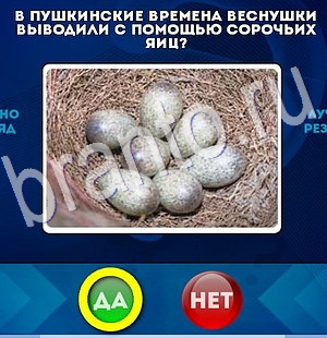 Да или Нет игра ответы Уровень 2993
