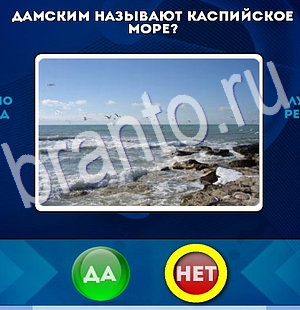 игра Да или Нет ответ на Уровень 3000