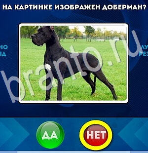 ответы на игру в одноклассниках Да или Нет Уровень 2856