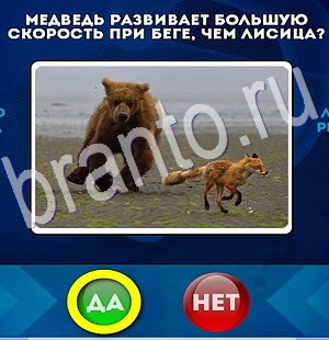 Да или Нет игра ответы в одноклассниках Уровень 2857