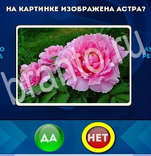 игра Да или Нет ответ на Уровень 2860