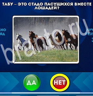 Да или Нет ответы в картинках Уровень 2866