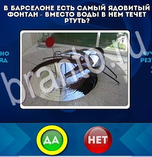 решебник на игру Да или Нет Уровень 2871