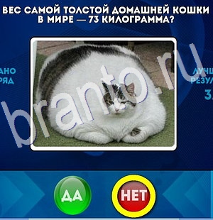 Подсказки на игру Да или Нет Уровень 2882