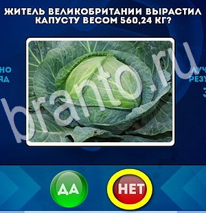 ответы к игре Да или Нет Уровень 2885