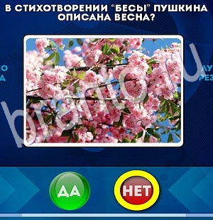 игра Да или Нет ответ на Уровень 2890