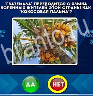решебник на игру Да или Нет Уровень 2891
