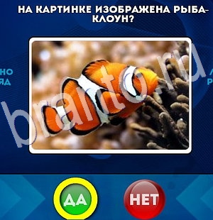 Да или Нет ответы в картинках Уровень 2896