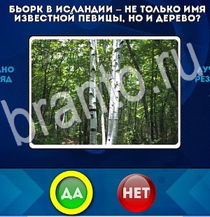 Да или Нет игра помощь Уровень 2905