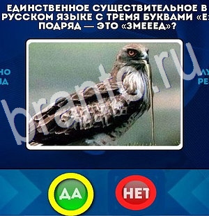ответы к игре Да или Нет Уровень 2915
