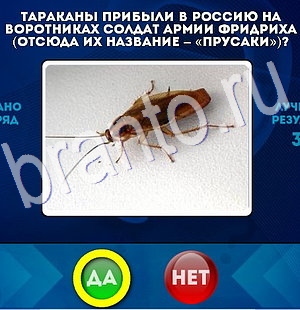 ответы на игру в одноклассниках Да или Нет Уровень 2916