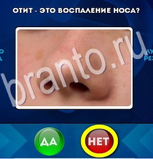 Да или Нет подсказки в контакте Уровень 2919