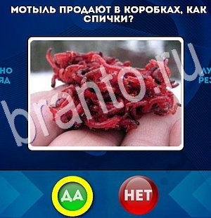 решебник на игру Да или Нет Уровень 2921