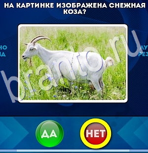 Игра Да или Нет ответы Уровень 2927