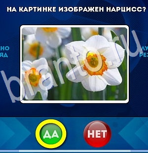 Игра Да или Нет подсказки Уровень 2928